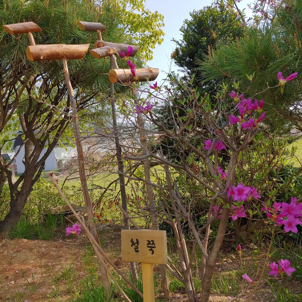Paju Kamaksan Pension 47/50