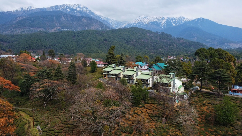 Lamrin Norwood Green Palampur 43/50