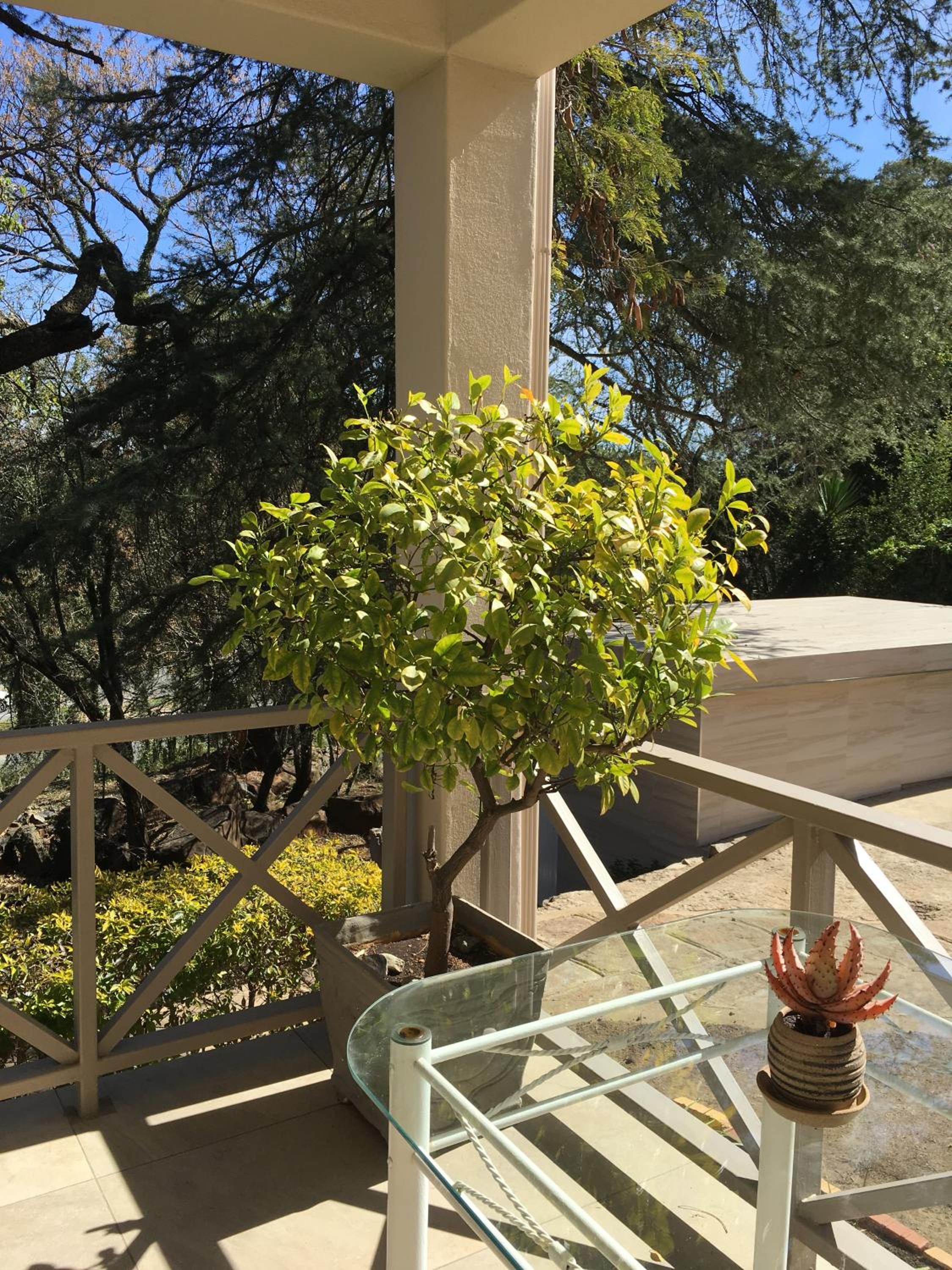 Peaches and Cream B&B 10/23