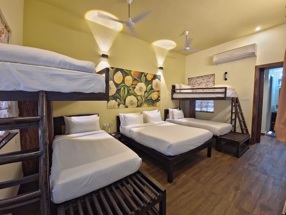 Tathastu Tadoba 19/47
