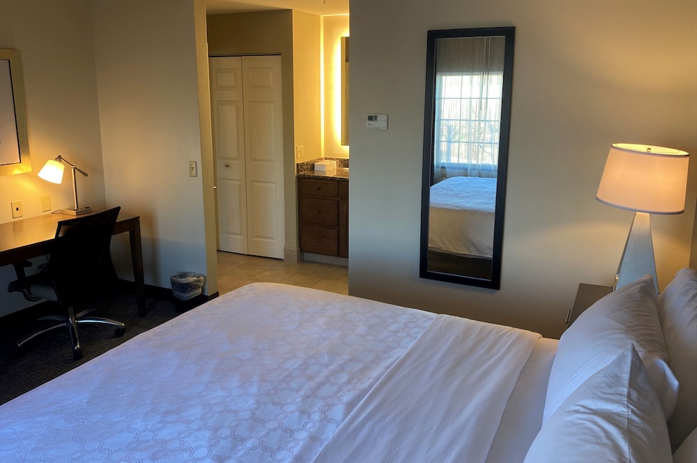 Suite, King Bed, Dining Area, Kitchen