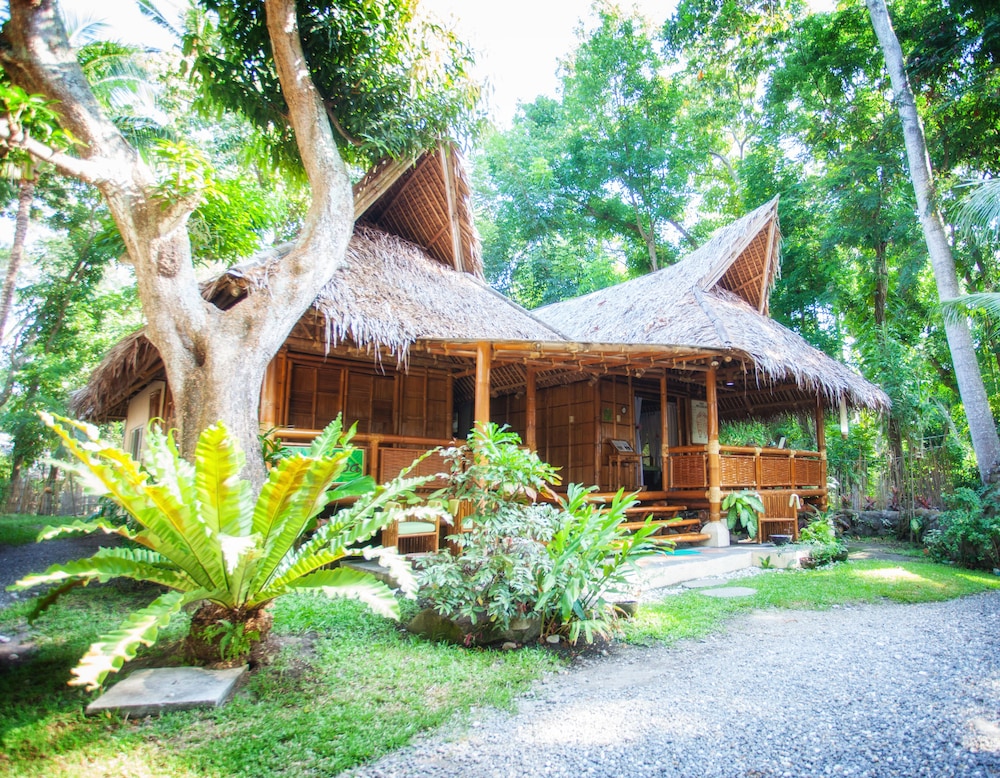 Pura Vida Beach And Dive Resort 7/61