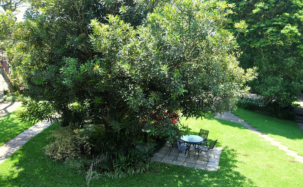 Birds of Paradise B&B 44/46
