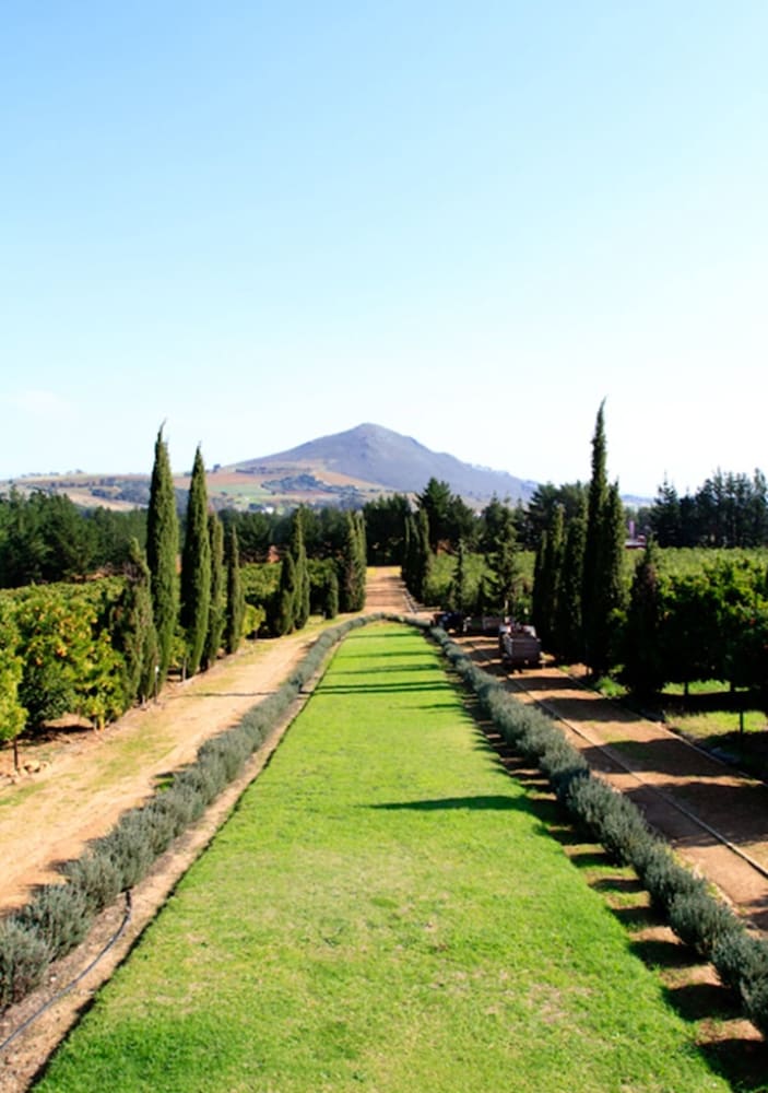 Marianne Wine Estate 38/60