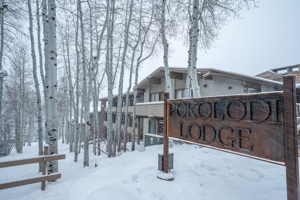 Pokolodi Lodge 10/38