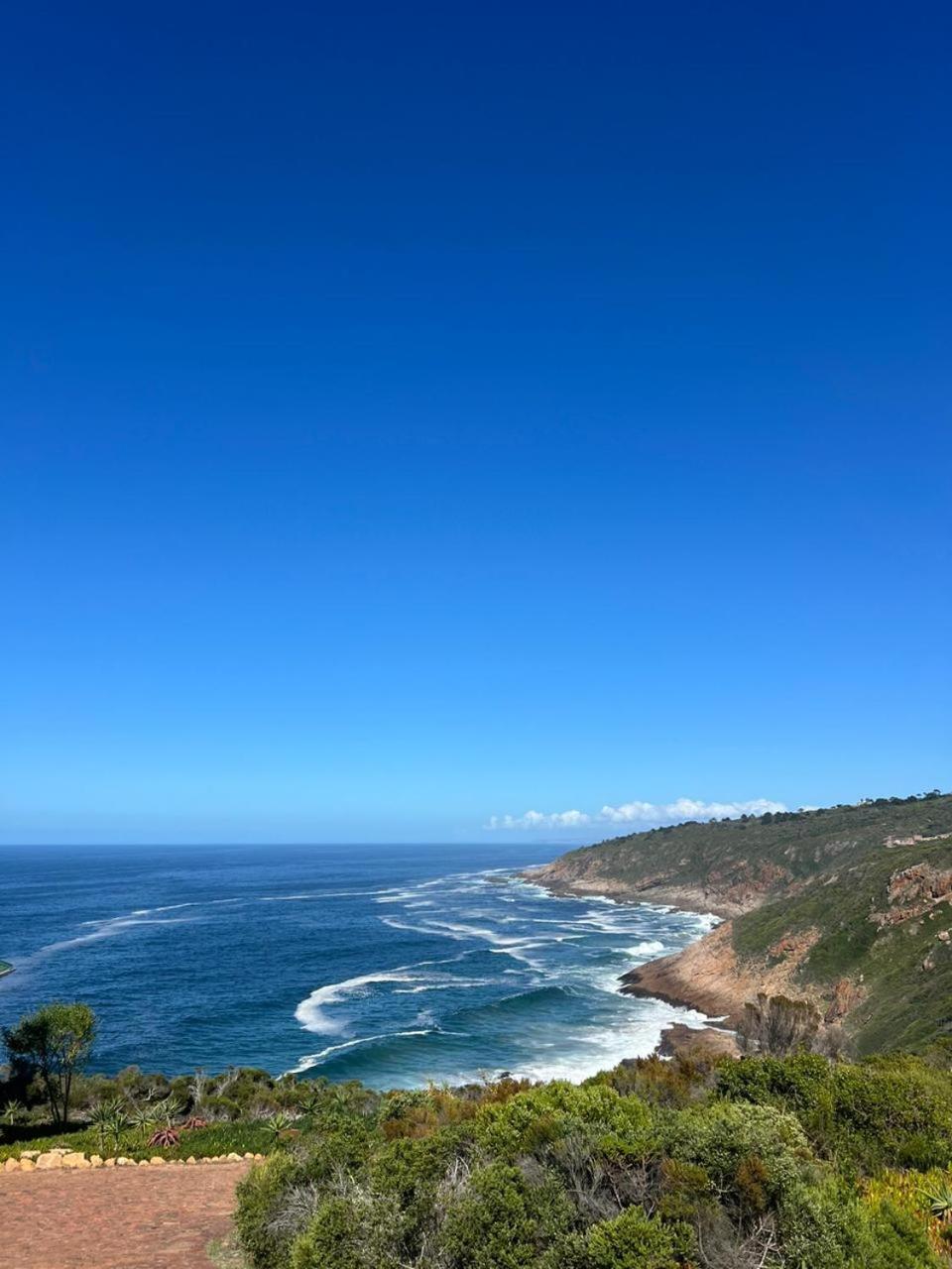 Blue Whale Resort 38/50