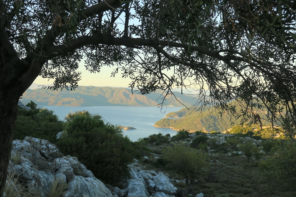 Swan Lake Boutique Hotel - Adults Only 52/67