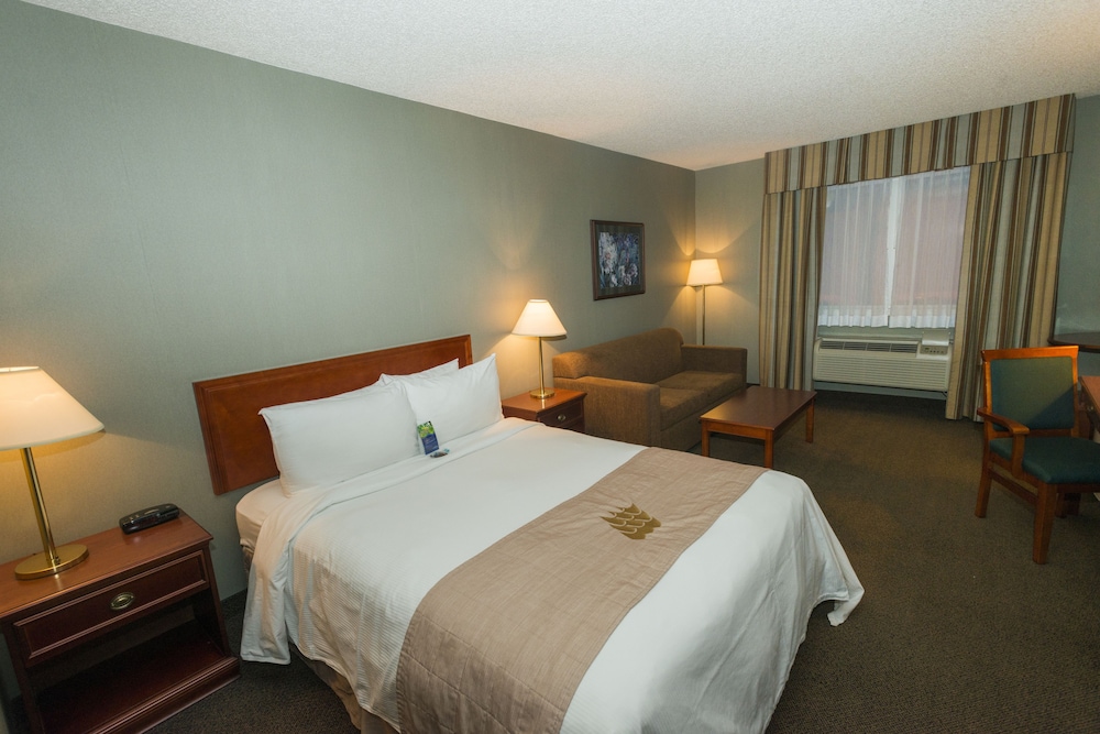 Days Inn by Wyndham Whitecourt 16/53