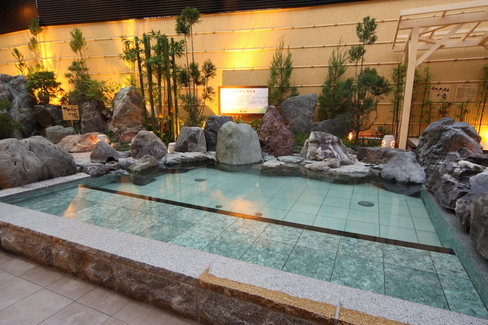 Spa Resort Nagoya Kasadera Hotel 26/50