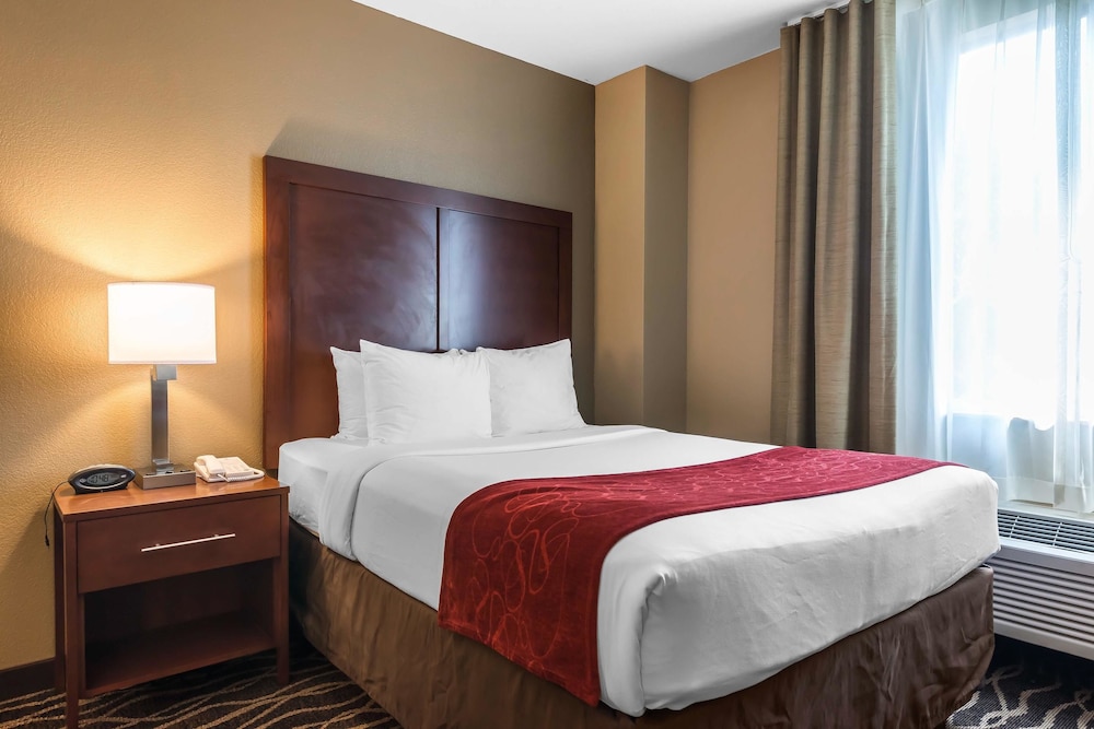 Comfort Suites Tampa Airport North 15/35