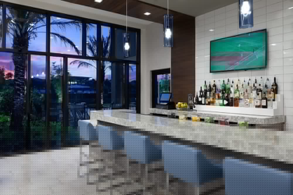 Springhill Suites Orlando At Millenia 31/40