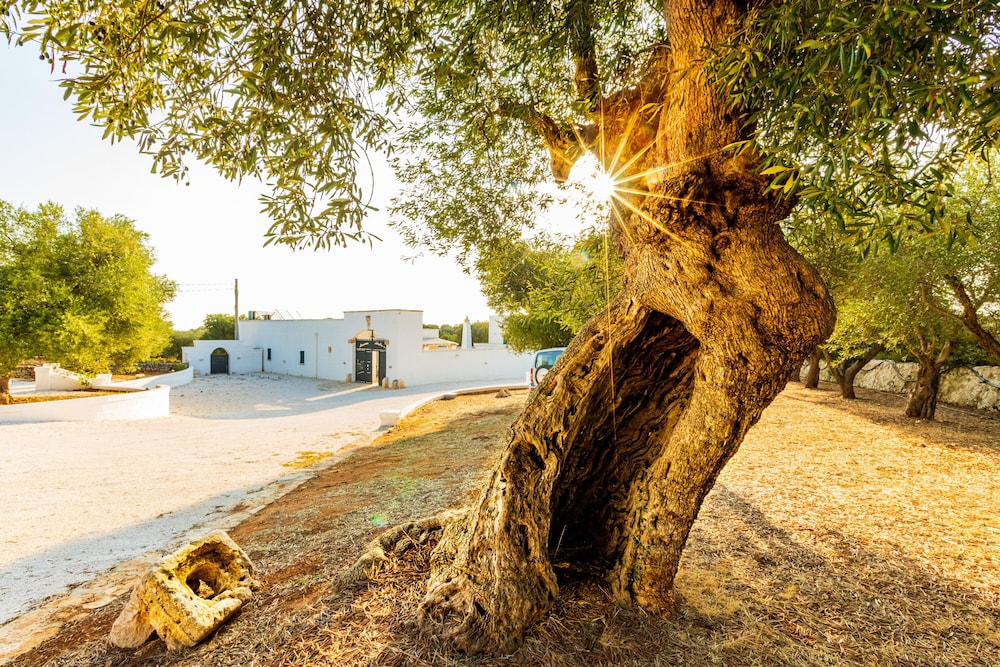 Masseria Abadia Uno 56/64