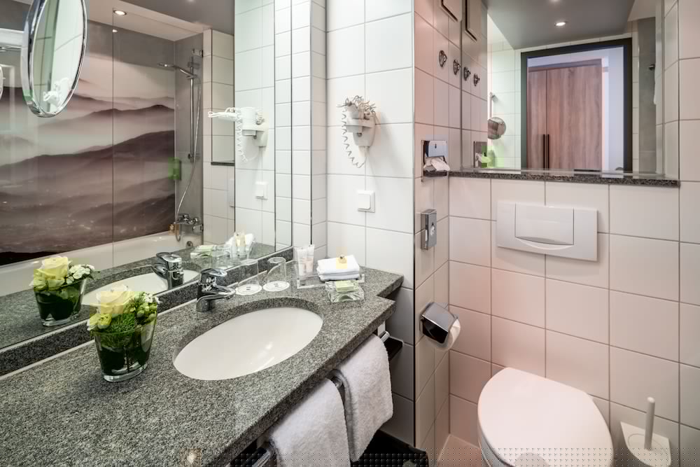 Park Plaza Trier 24/70