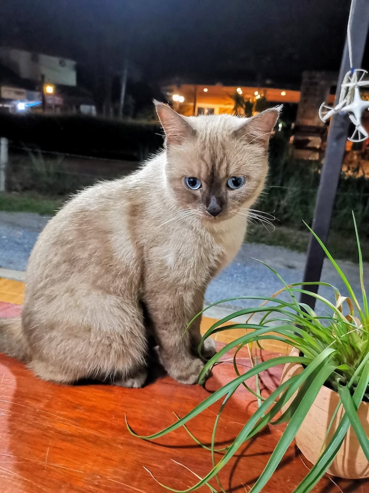 セレンディピティ 写真2