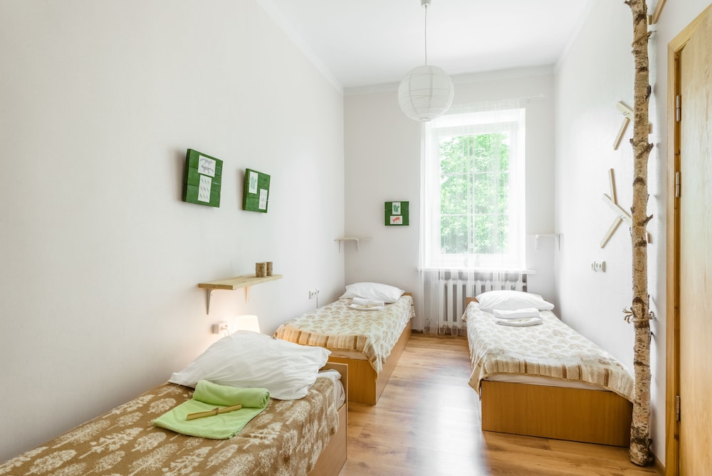 Downtown Forest Hostel & Camping 14/50