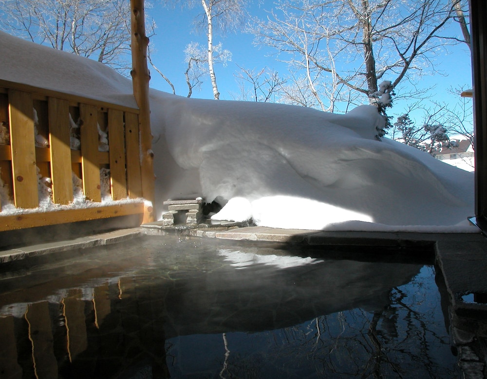 Hotel Shirakabaso Shiga Kogen 17/33