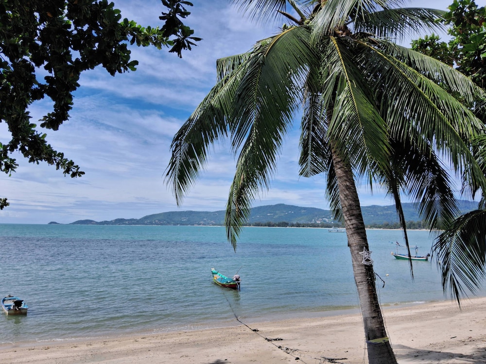 At Samui Haus 36/50