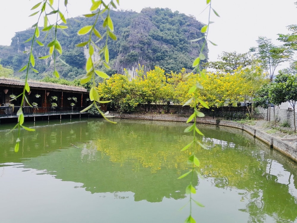 Tam Coc Garden Homestay 61/71