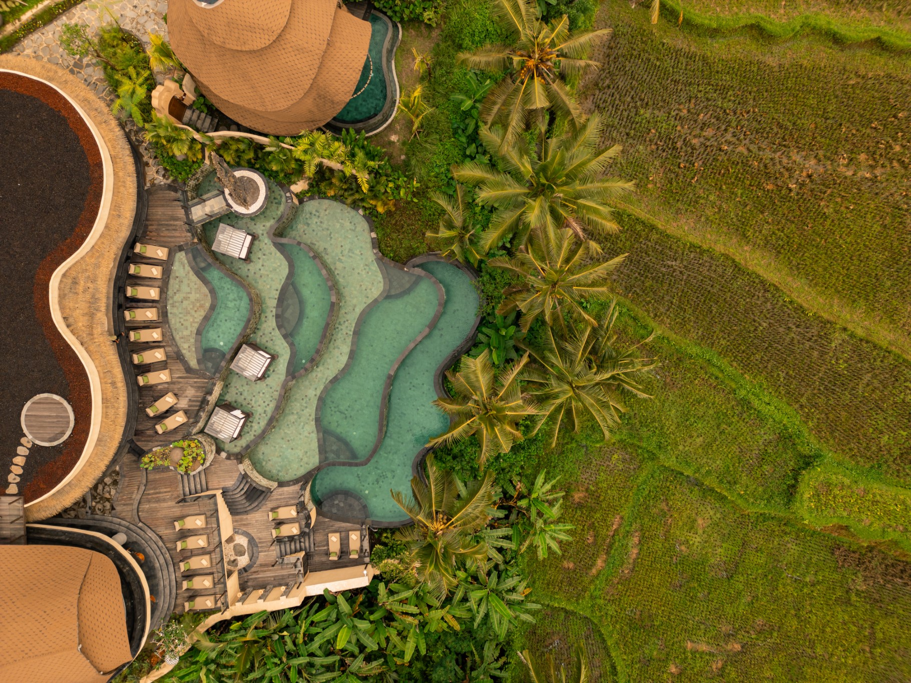 Equipoise Resort Ubud by Ini Vie Hospitality (Adult Only) 32/37