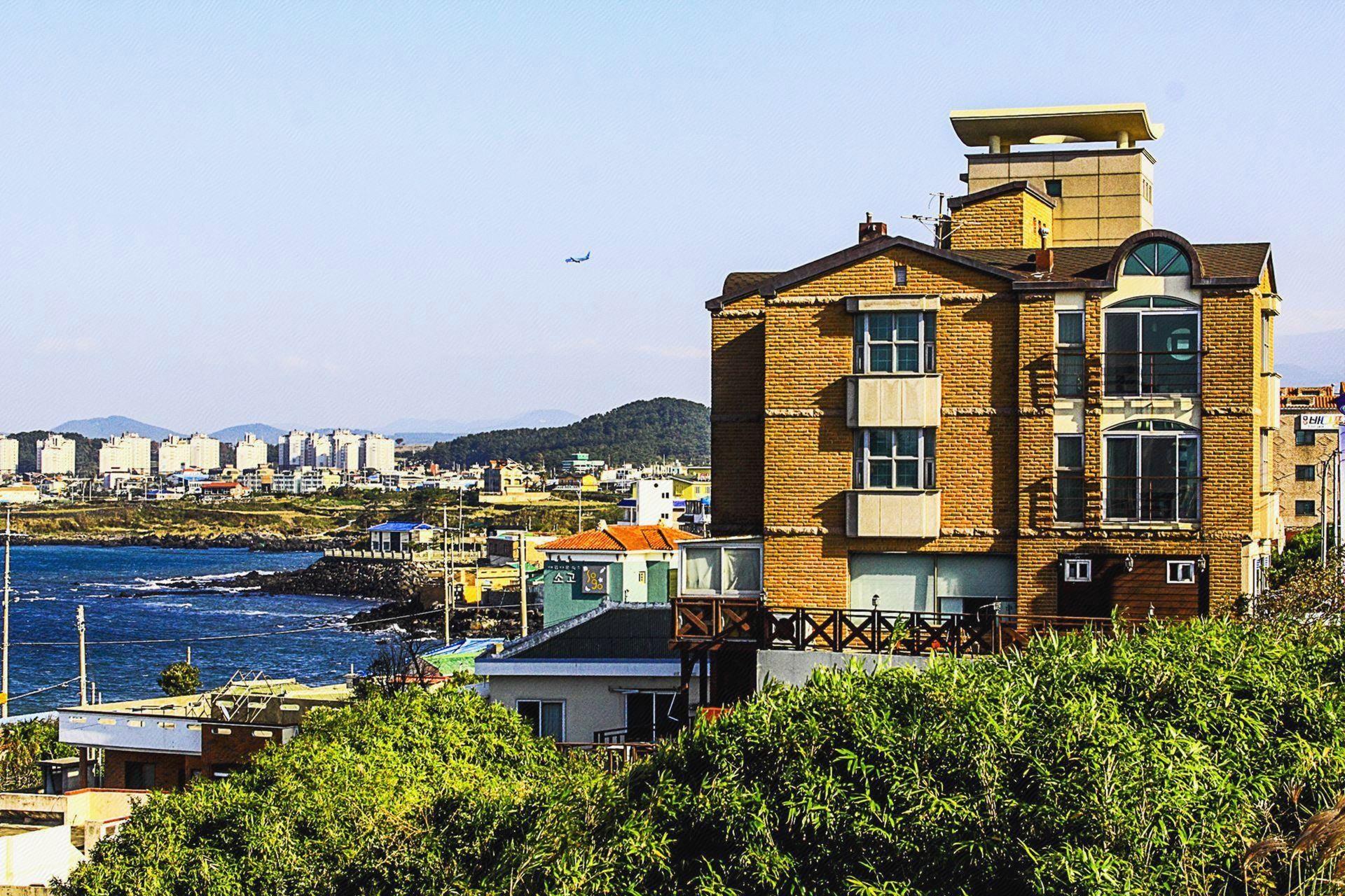 Jeju Amaville 6/64