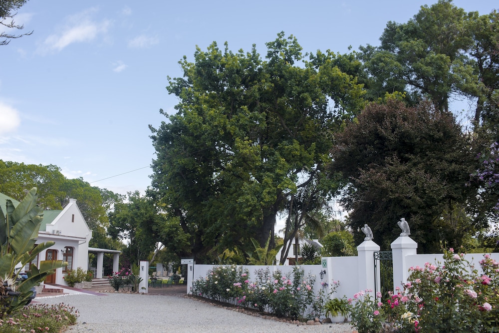 Green Olive Guesthouse 3/50