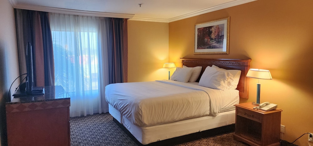 Hotel XOLA, Trademark Collection by Wyndham 17/50