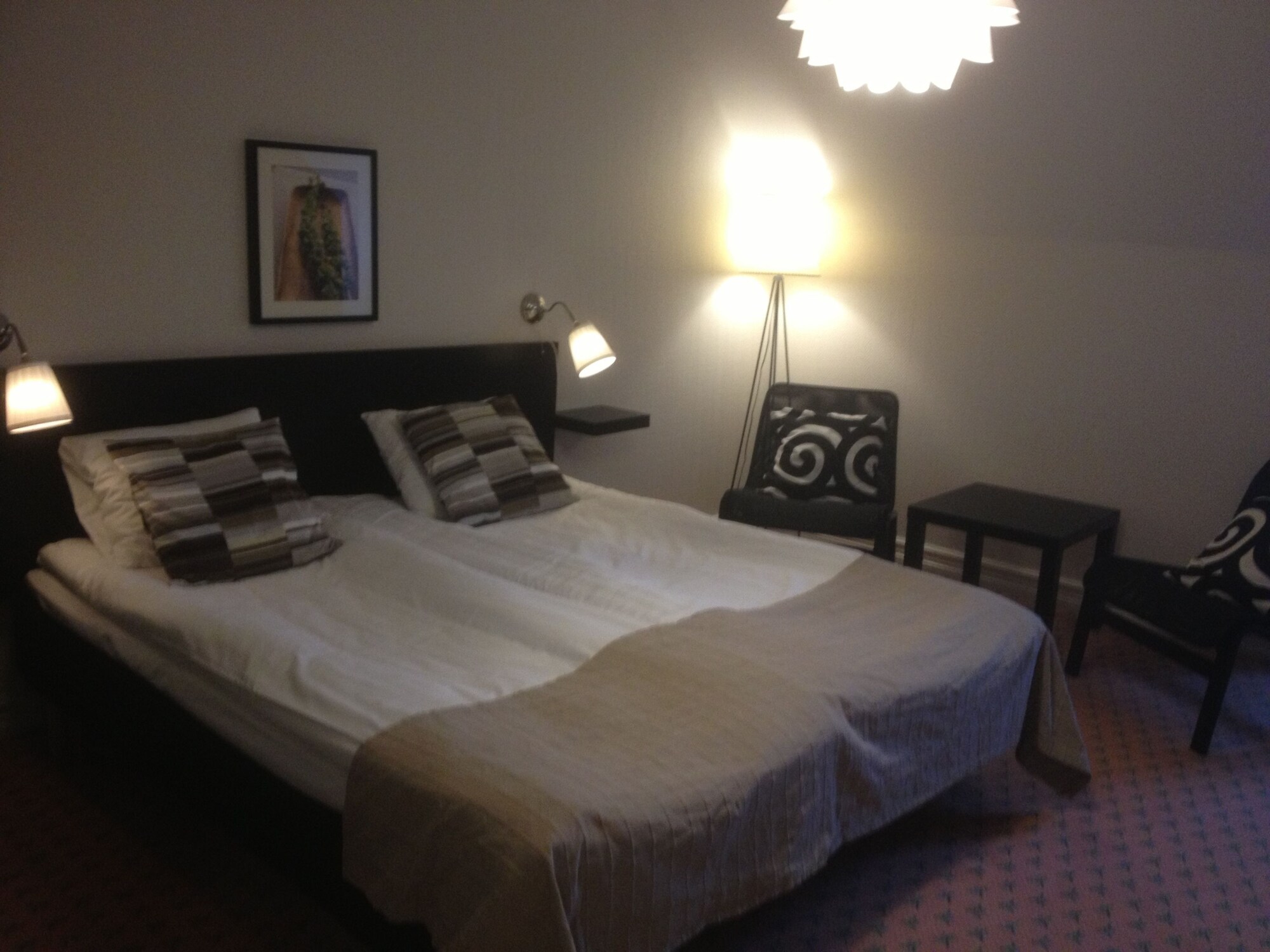 Family, King Bed, Murphy Bed