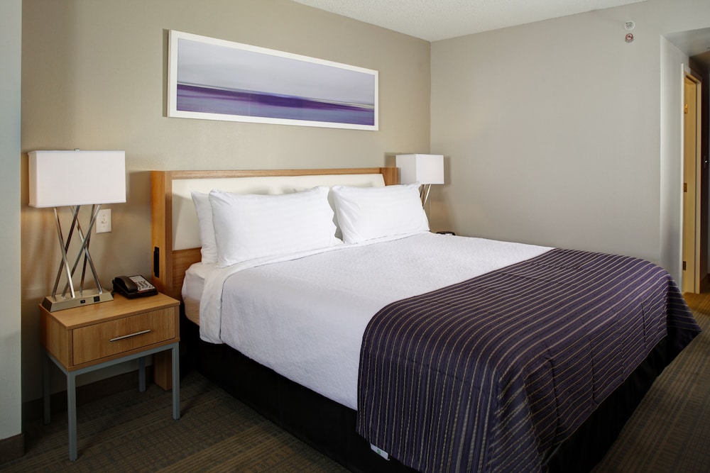 HOLIDAY INN FRANKLIN - COOL SPRINGS 19/64