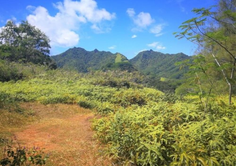 Rarotonga Golfseaview 21/28