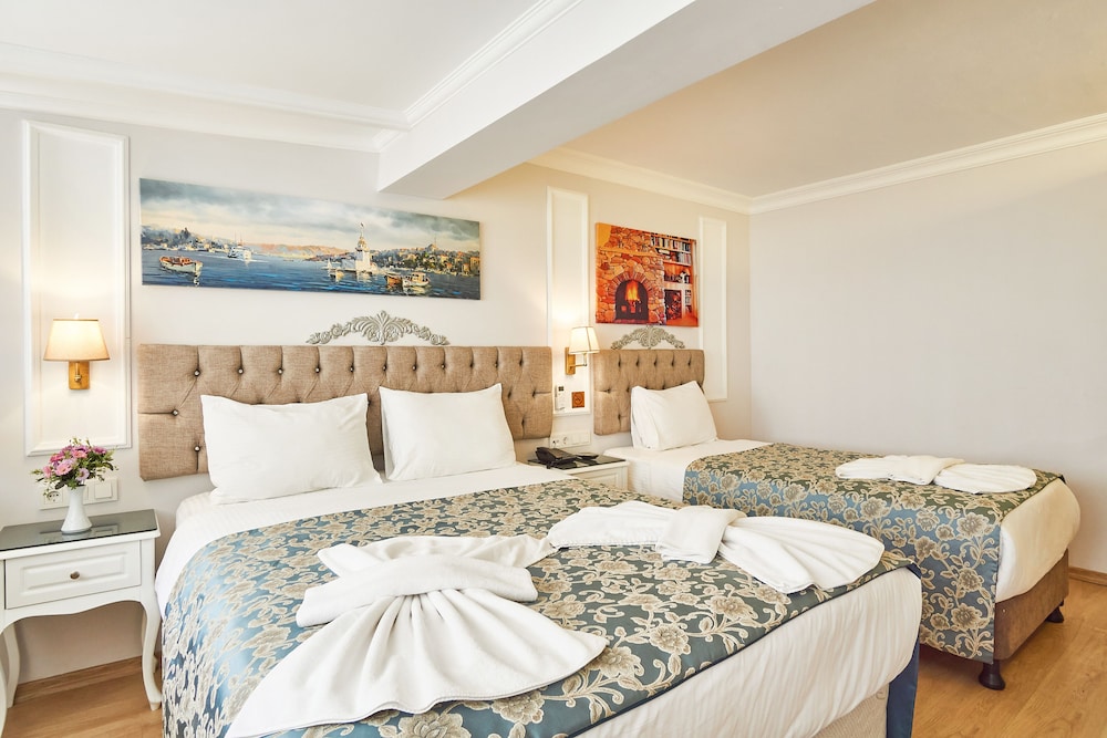 Hotel Beyazit Palace 16/64