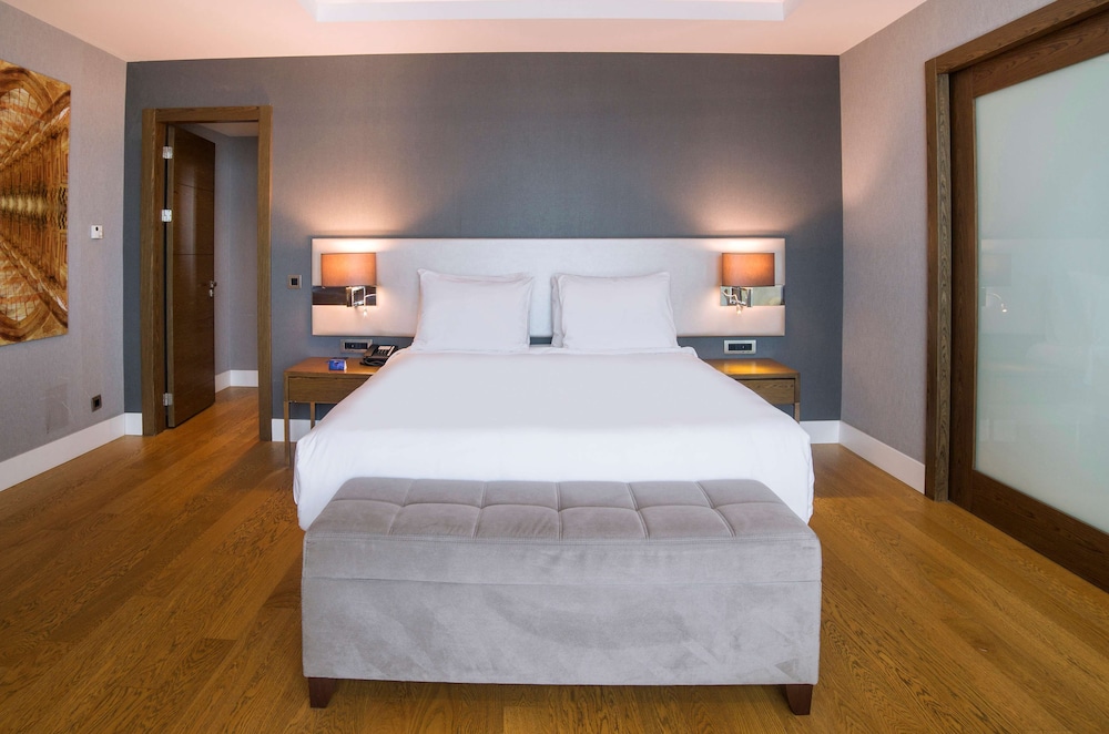 Radisson Blu Hotel, Kayseri 22/77