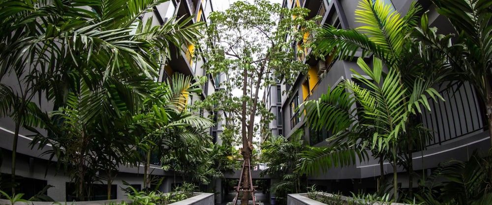surroundings