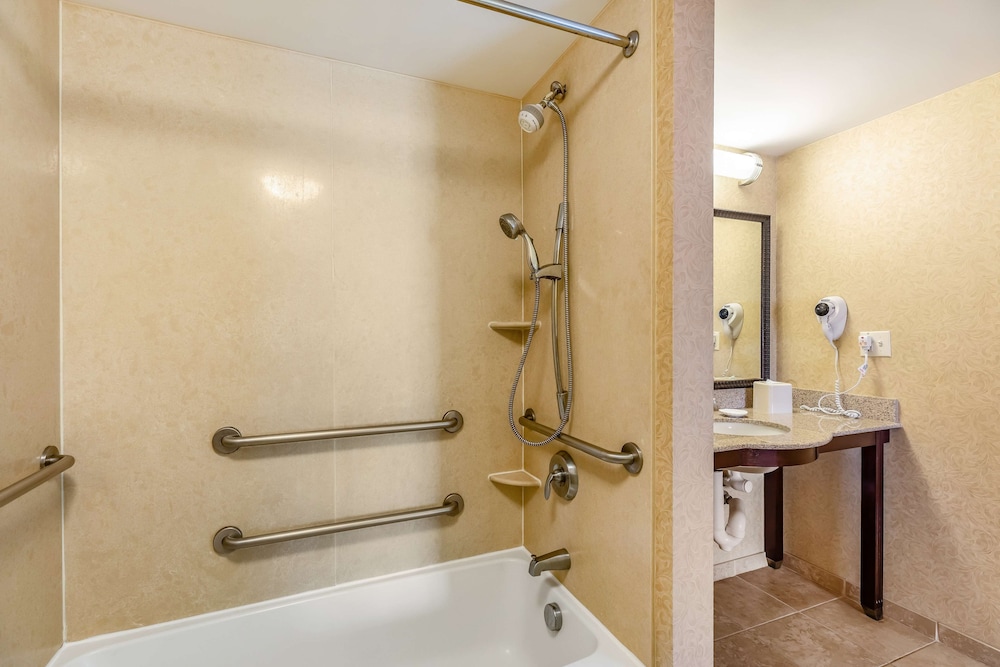 Hampton Inn & Suites Orlando-South Lake Buena Vista 31/49