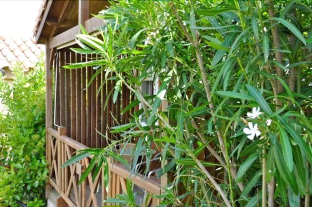 Hotel Maora Village 33/48