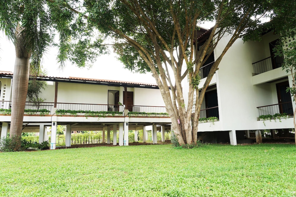 Canary Guesthouse 50/65