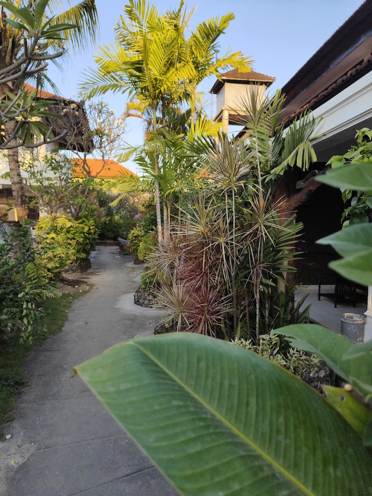 Berlian Inn 41/50