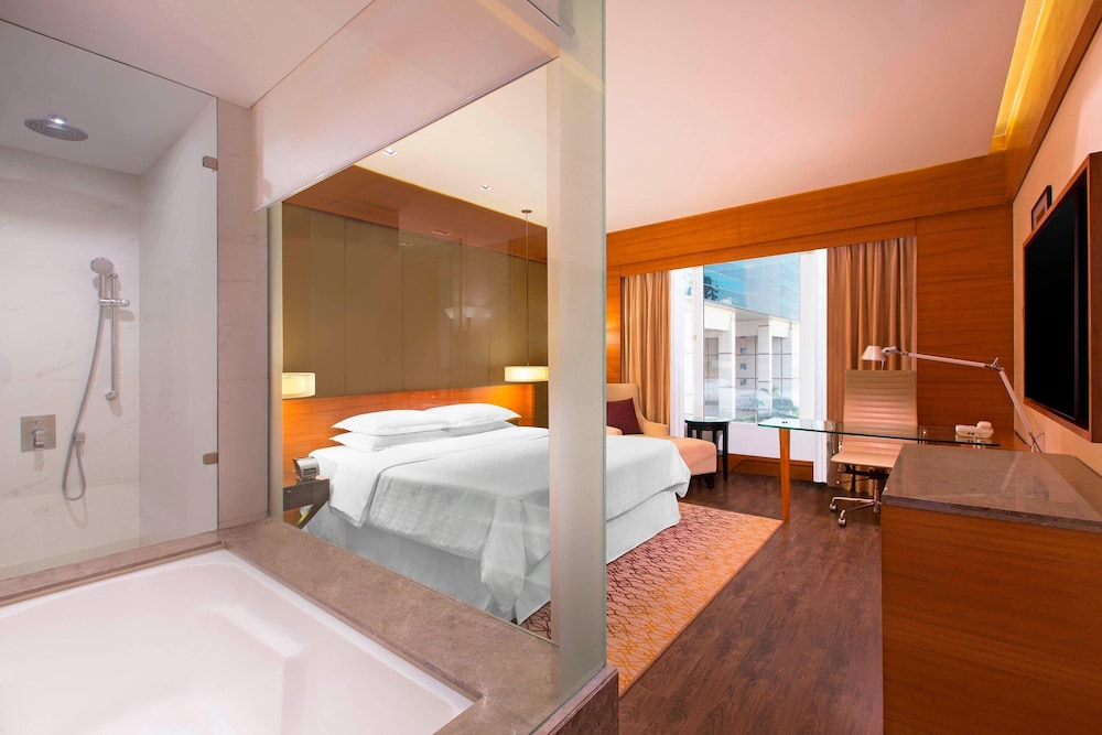 Sheraton Hyderabad Hotel 15/71