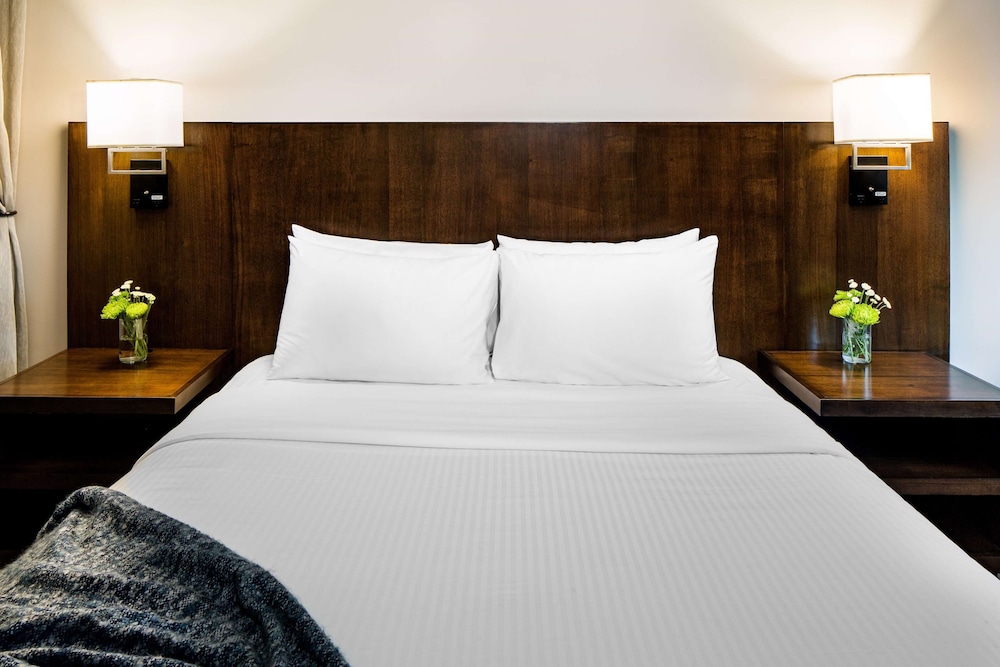 Watt Hotel Rahway, Tapestry Collection by Hilton 11/69