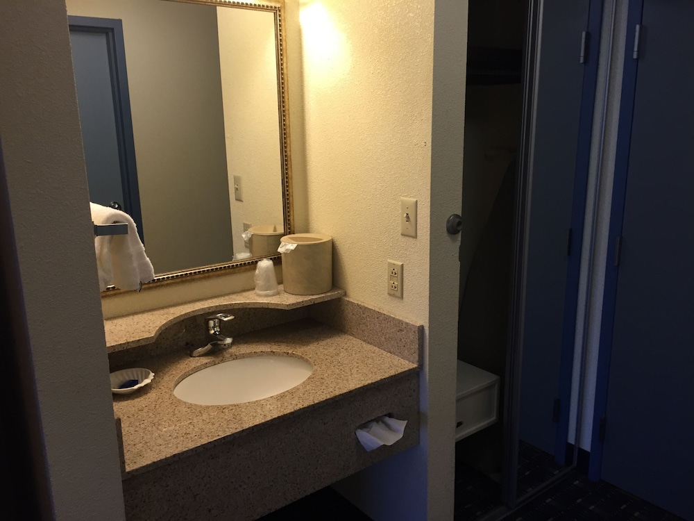 Best Western Plus Reading Inn & Suites 12/37