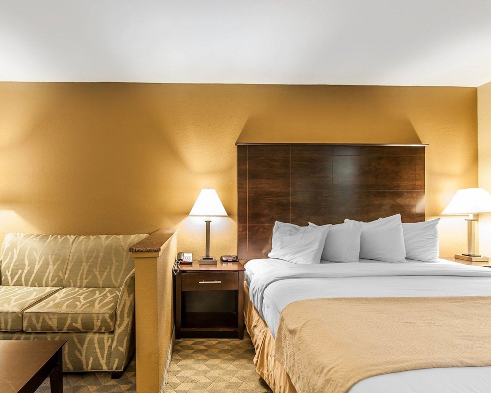 Quality Inn & Suites Bremen, GA 16/37