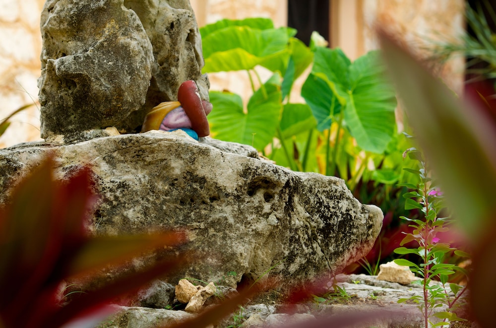 Villa Tortugas Residence 24/34