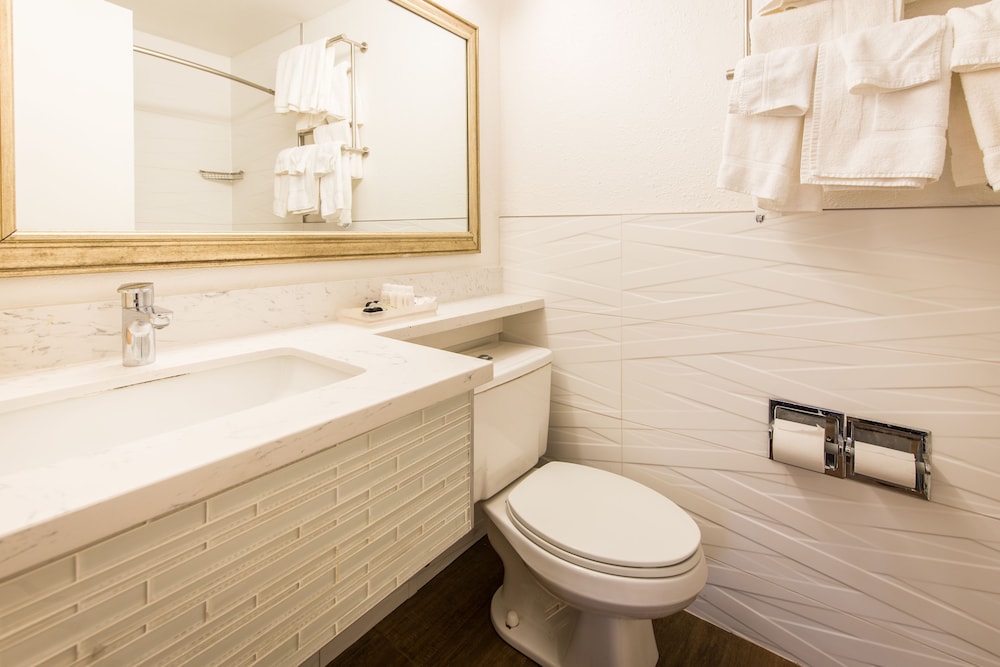 Soma Park Inn – Civic Center 42/50