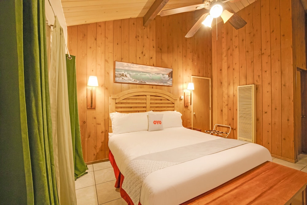 Arrowhead Tree Top Lodge 16/50