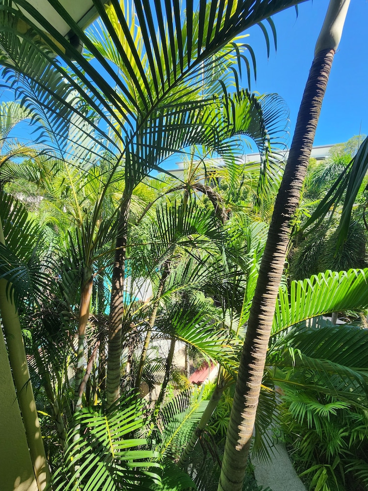 Central Plaza Port Douglas 55/63