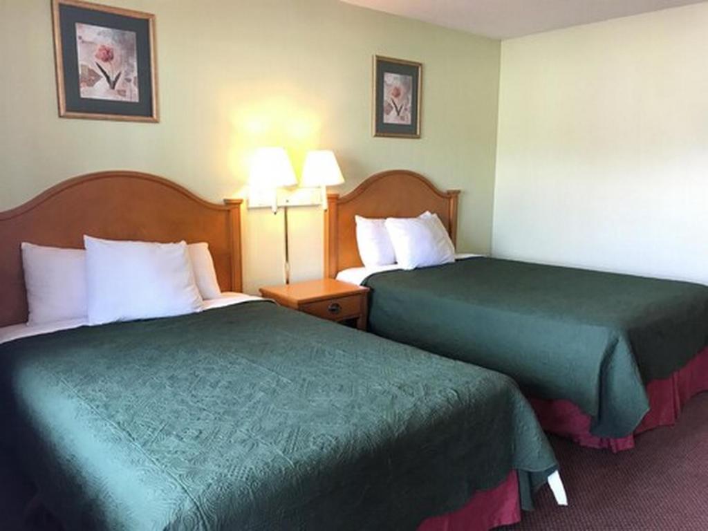 غرفة بسريرين مزدوجين، Barrington Hotel Schaumberg Near I 90 2/9