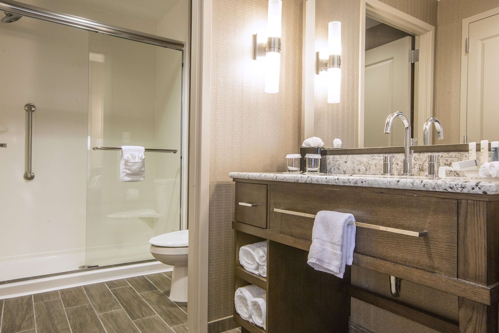 Homewood Suites by Hilton Houston Downtown 14/46