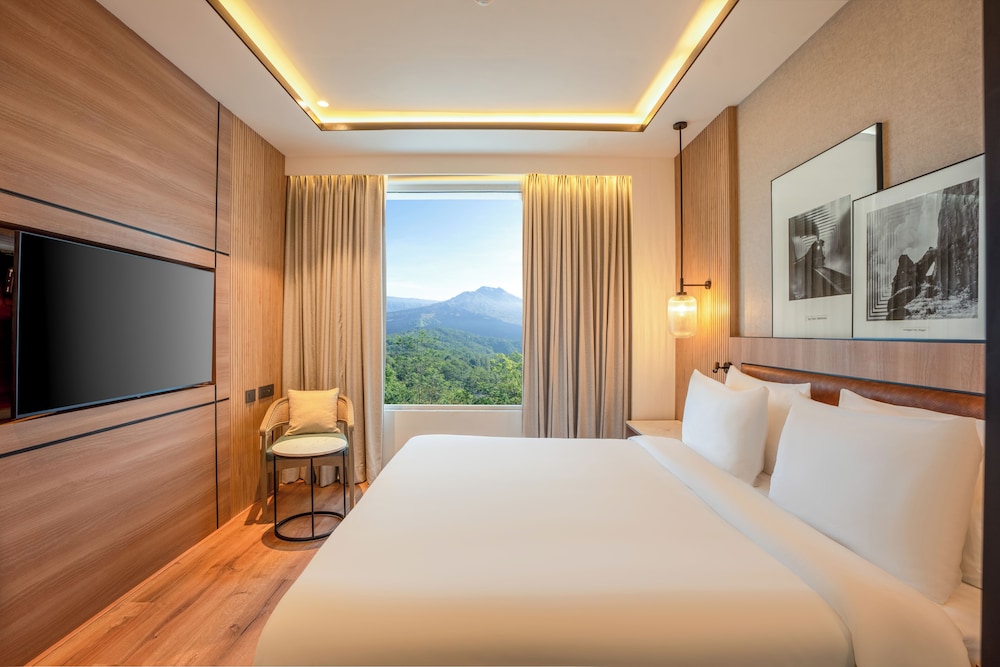 Radisson Resort Khopoli 6/49