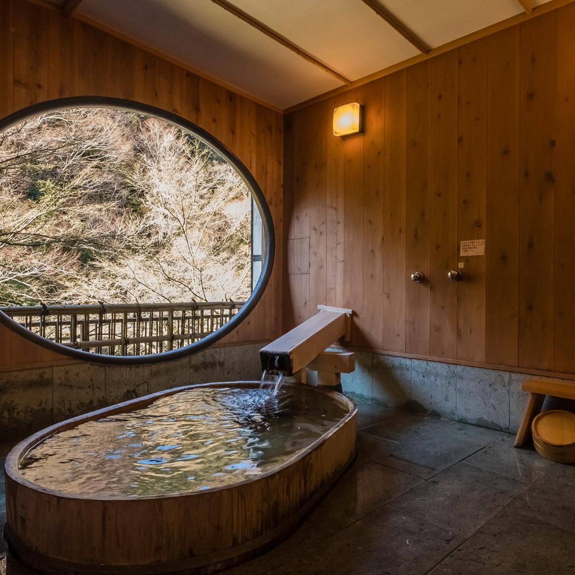 Hakone Tonosawa Onsen Shiunso 20/50