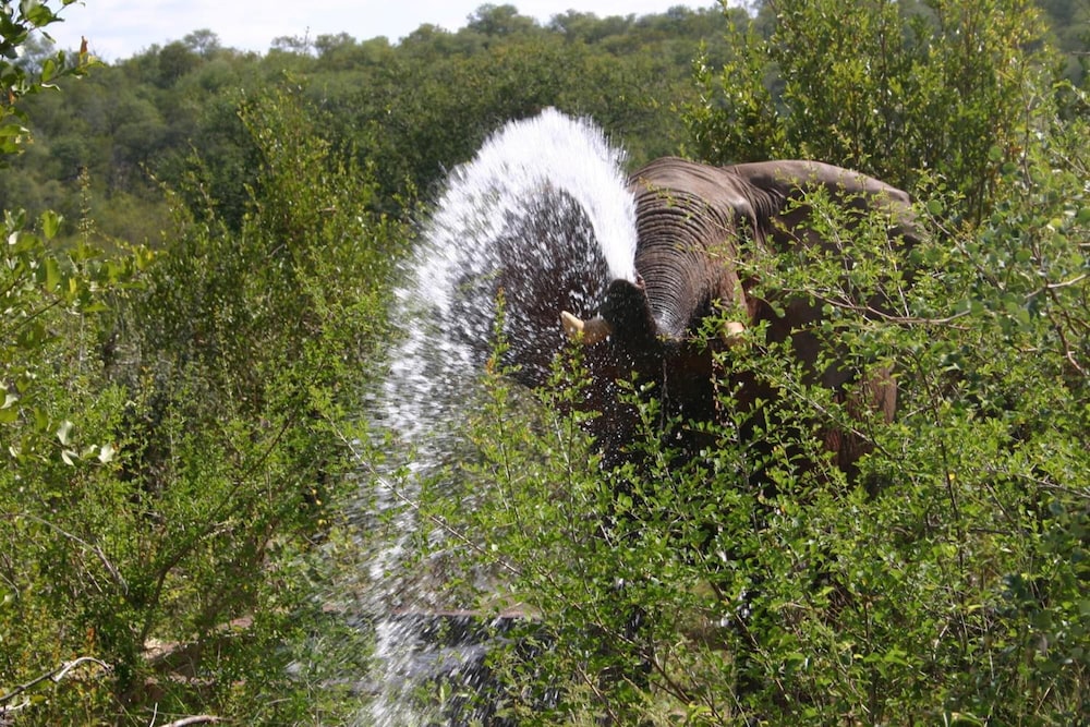 Muweti Bush Lodge 32/46
