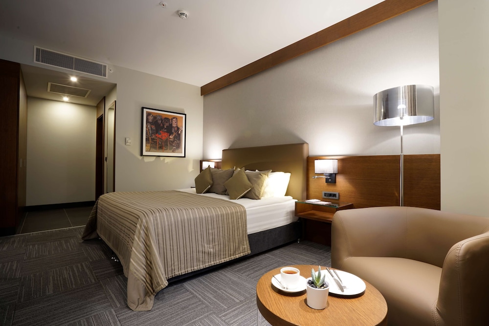 Radisson Blu Hotel Ankara Cankaya 14/56
